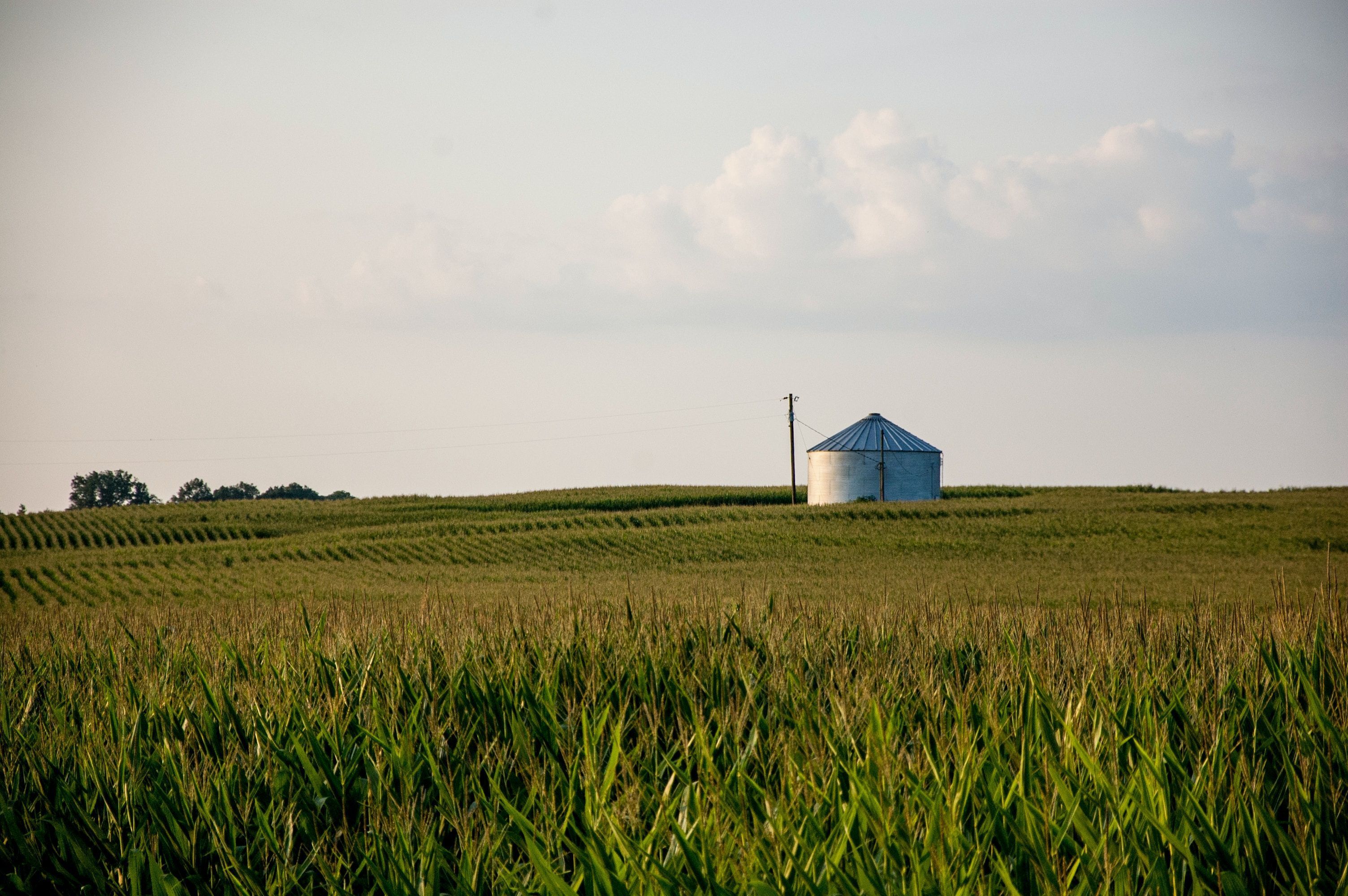 Solving the data silo conundrum