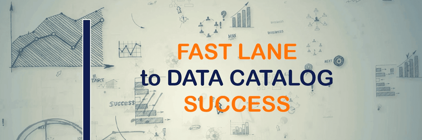 Fast lane to data catalog success